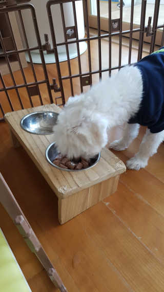 루루님이 올린 리뷰 사진 3