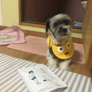 현지님이 올린 리뷰 사진 1