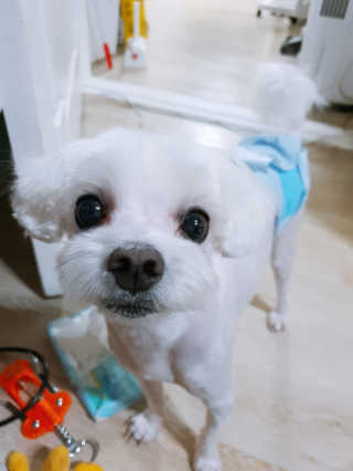 황선아님이 올린 리뷰 사진 3