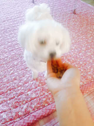 롱님이 올린 리뷰 사진 3