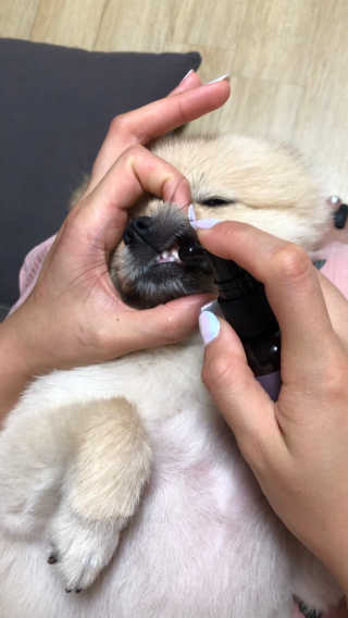 berryjjung님이 올린 리뷰 사진 1
