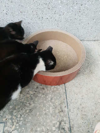 흐큑흐큑님이 올린 리뷰 사진 4