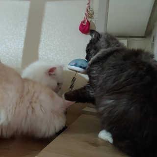 Lim님이 올린 리뷰 사진 3