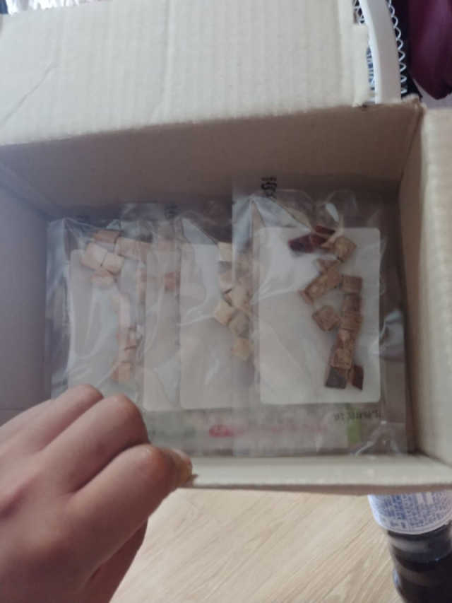 펫츠플레이트 동결건조간식 기호성 테스트 8종 리뷰 사진