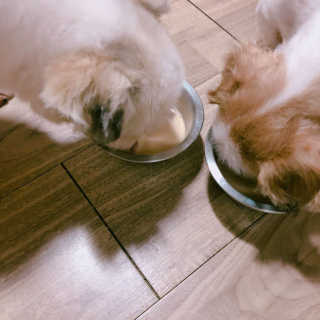 윤수정님이 올린 리뷰 사진 3
