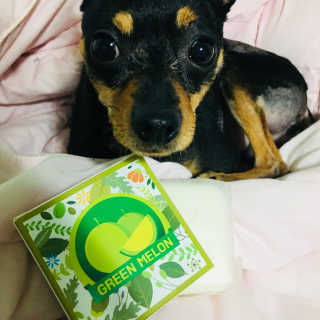 sylvia0307님이 올린 리뷰 사진 1