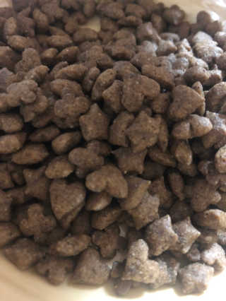 그린펫푸드 인섹트캣 글루텐프리（1.2KG） — 5점을 준 리뷰어가 2019년 9월 올린 사용 사진