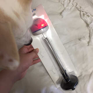 J님이 올린 리뷰 사진 1