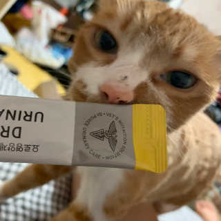 지나조이님이 올린 리뷰 사진 2