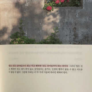 매화님이 올린 리뷰 사진 2