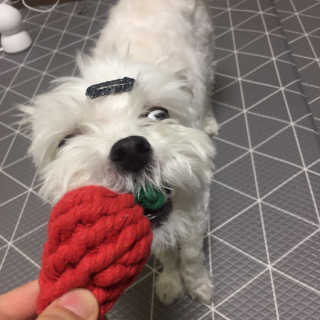 당근님이 올린 리뷰 사진 3