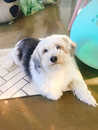 YoonheeSeo님이 올린 리뷰 사진 2