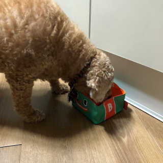 은지짱님이 올린 리뷰 사진 2