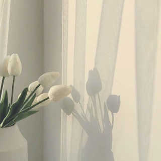 pb님이 올린 리뷰 사진 3