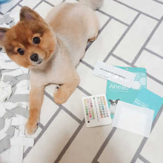 은선이짱님이 올린 리뷰 사진 4