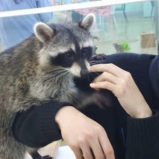 은비님이 올린 리뷰 사진 3