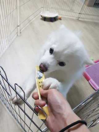 소라빵님이 올린 리뷰 사진 3