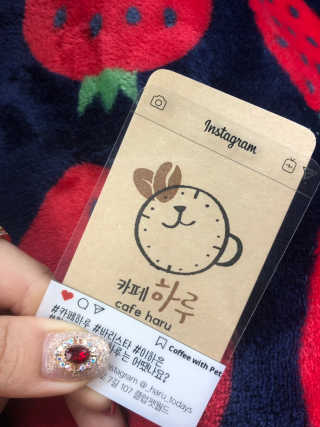 이하은님이 올린 리뷰 사진 2