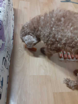 쪙현님이 올린 리뷰 사진 2