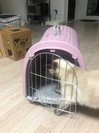 Canteen님이 올린 리뷰 사진 2