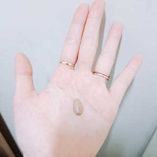 TwinkleJ님이 올린 리뷰 사진 3