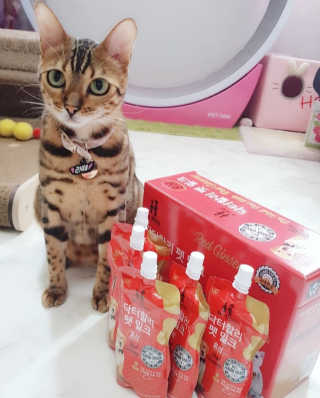 효니님이 올린 리뷰 사진 1