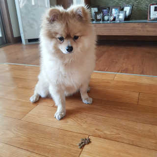 cocoococo님이 올린 리뷰 사진 4