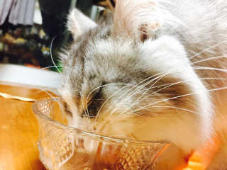 도토밤님이 올린 리뷰 사진 3