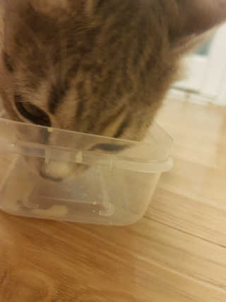주깽쓰님이 올린 리뷰 사진 2