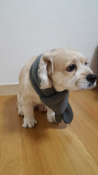효효님이 올린 리뷰 사진 1