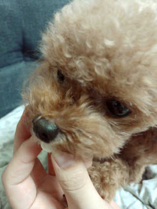 땡그리땡자님이 올린 리뷰 사진 1