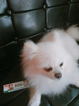 쟈스민님이 올린 리뷰 사진 2