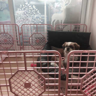 여니별이님이 올린 리뷰 사진 3