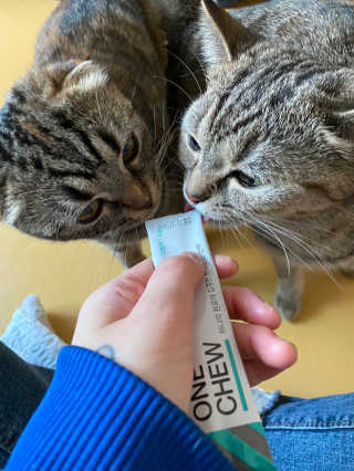 봄블리님이 올린 리뷰 사진 2
