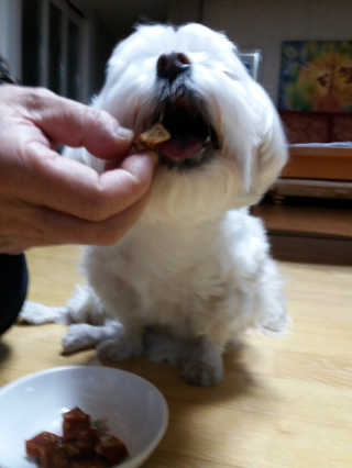 비키님님이 올린 리뷰 사진 1