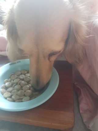 끙순둥단님이 올린 리뷰 사진 3