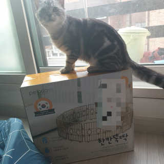 이째님이 올린 리뷰 사진 2
