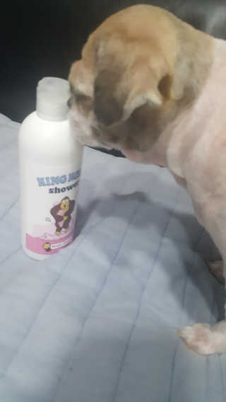 보리엄마님이 올린 리뷰 사진 3