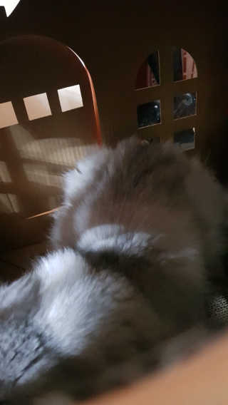 이영실님이 올린 리뷰 사진 3