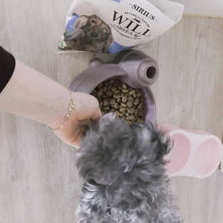 이소윤님이 올린 리뷰 사진 2