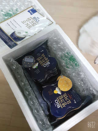 [매일 바이오] 생크림요거트 플레인 12개 + 유자 12개 — 5점을 준 리뷰어가 2019년 6월 올린 사용 사진