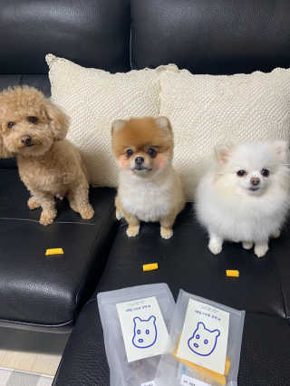 [어글어글] 반려견 친환경 간식 9종 세트 — 5점을 준 리뷰어가 2020년 3월 올린 사용 사진