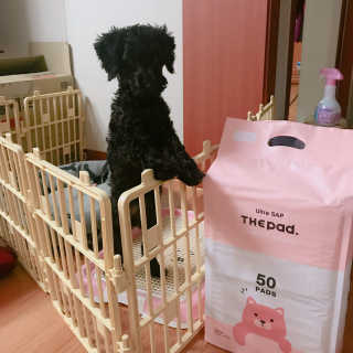 유니유닝님이 올린 리뷰 사진 2