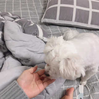 수희공주님님이 올린 리뷰 사진 4