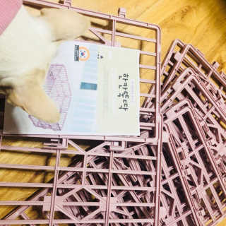 [펫토리아] BEST 한칸뚝딱 플라스틱 울타리 — 5점을 준 리뷰어가 2019년 2월 올린 사용 사진