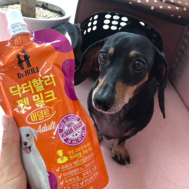 닥터할리펫밀크 5개 리뷰 사진