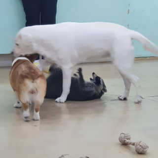 율집사님이 올린 리뷰 사진 4