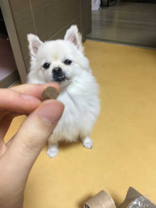 김수정님이 올린 리뷰 사진 1
