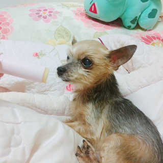 성유진님이 올린 리뷰 사진 3