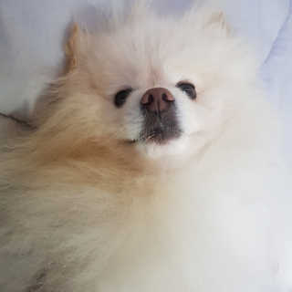 치리짱님이 올린 리뷰 사진 3